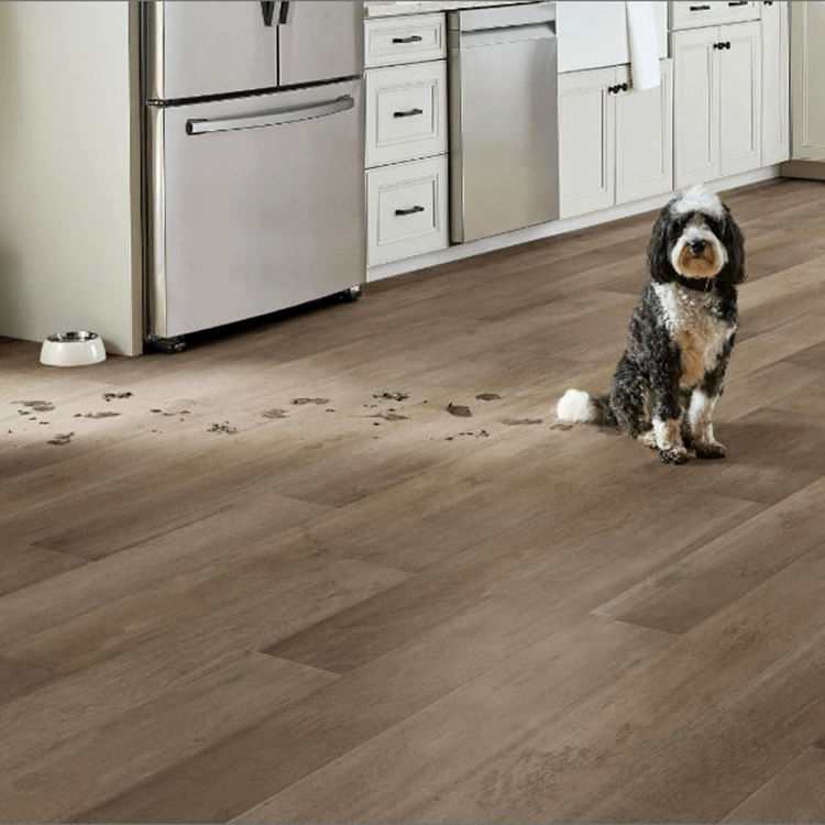 حبة الخشب المقاومة للماء 4mm 5mm PVC Click Lock Spc الأرضيات Lvp الأرضيات الفينيل اللوحة الفاخرة الأرضيات الفينيل مع IXPE