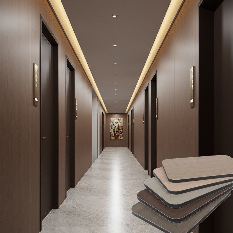 الخيزران الفحم الخشبية اللوحة الفنير المرآة الجانبية ضد الحرائق لوحة الحائط Pvc