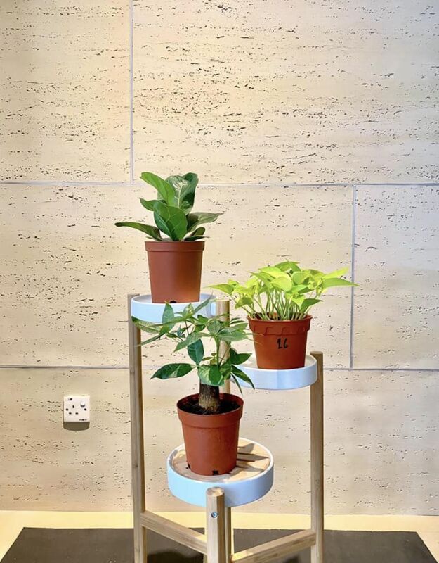 أوراق الترافرتين المرنة 3d لوحة حجر الترافرتين المرنة