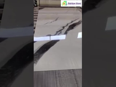 شاشة العرض المنتهية من ورق الرخام فوق البنفسجي